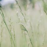 交换朋友夫妇2中文字幕 00p35dko