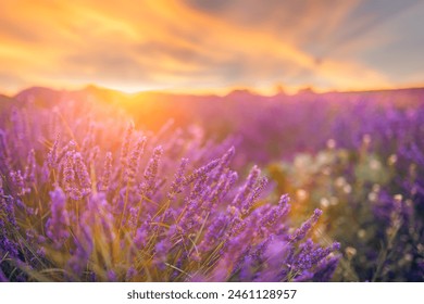 亚洲黄色自拍视频 亚洲黄色自拍视频