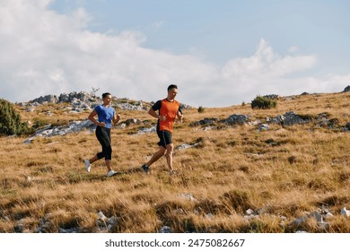 性感的电影 性感的电影