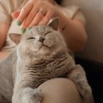 高清无码成本人视频 4ox10