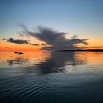 日本高清不卡免费一区二区三区 dx23s39p41