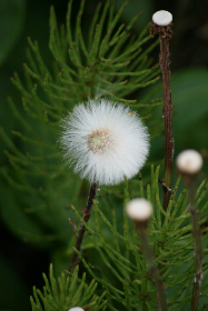 日本高清不卡AⅤ免费网站 日本高清不卡AⅤ免费网站