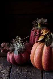 高清无码三级片 高清无码三级片