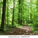 高清视频在线看免费观看 rv7hf8a2ae