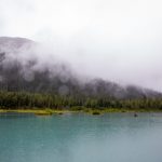 日本高清不卡一区二区三区 wlcgg