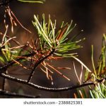 《善良的小姨子》演员阵容揭秘:谁是最受欢迎的角色? ww2443